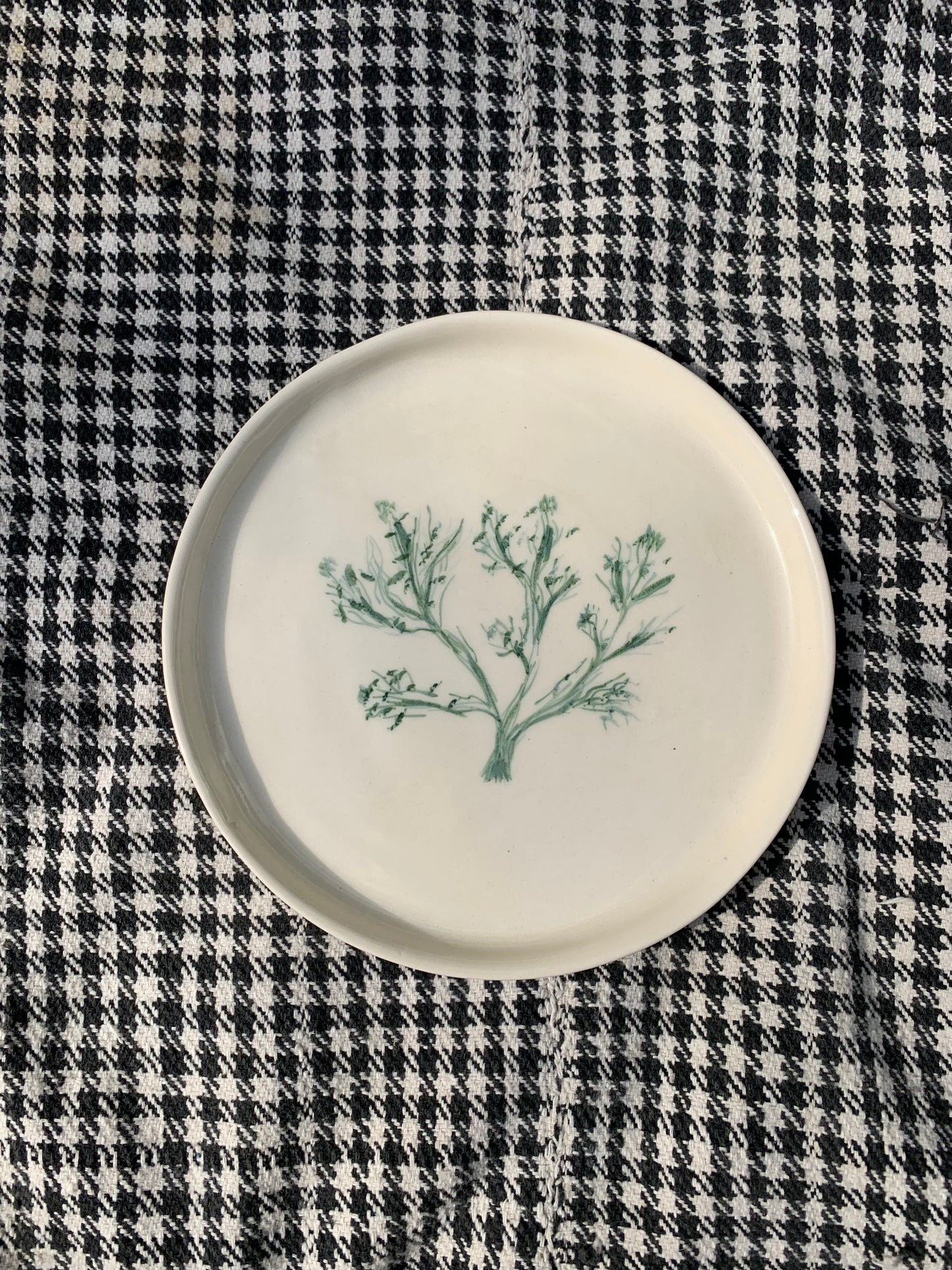 Tree of Life Plate
