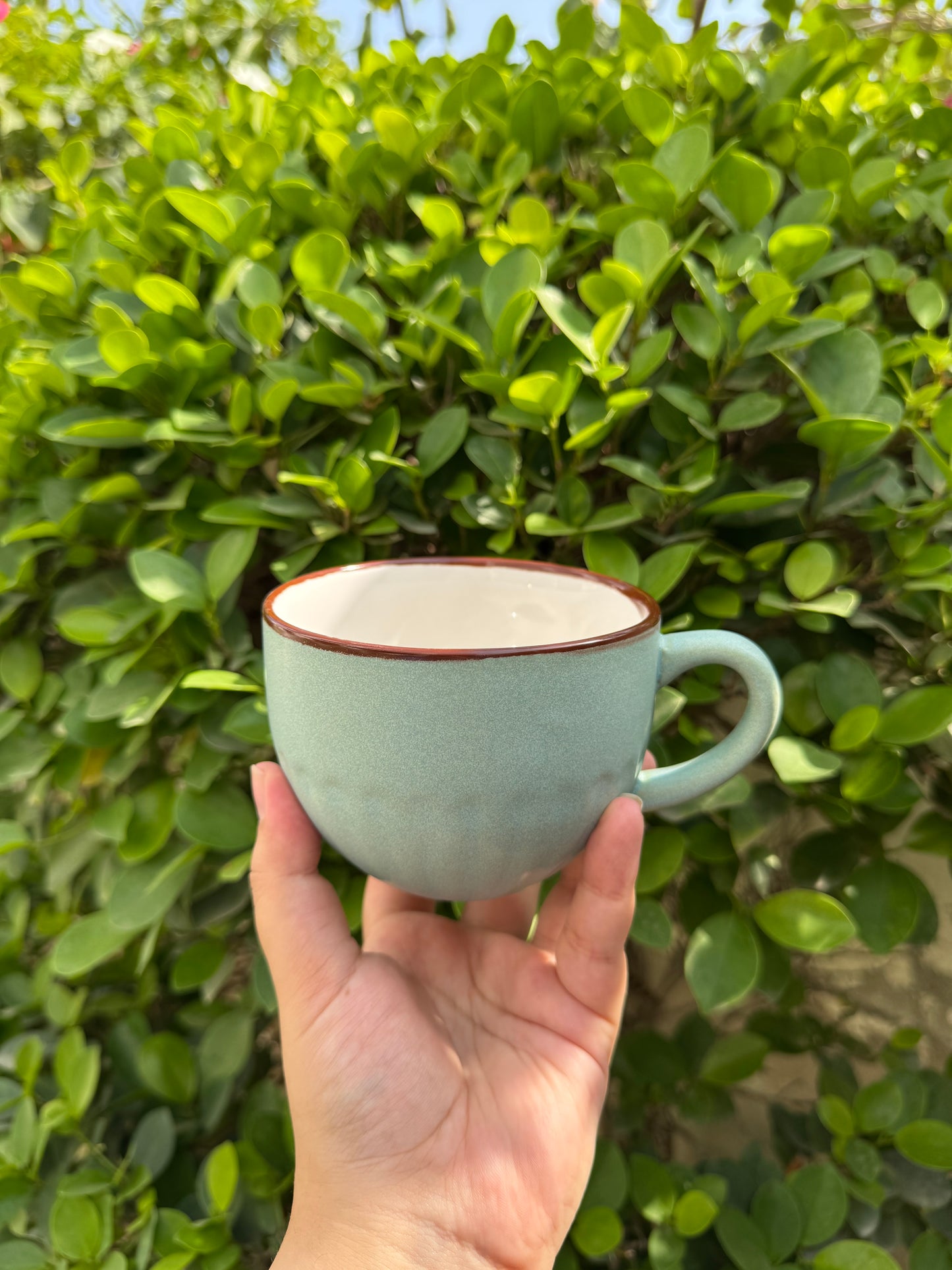 Pistachio Brown Rim Large Cup