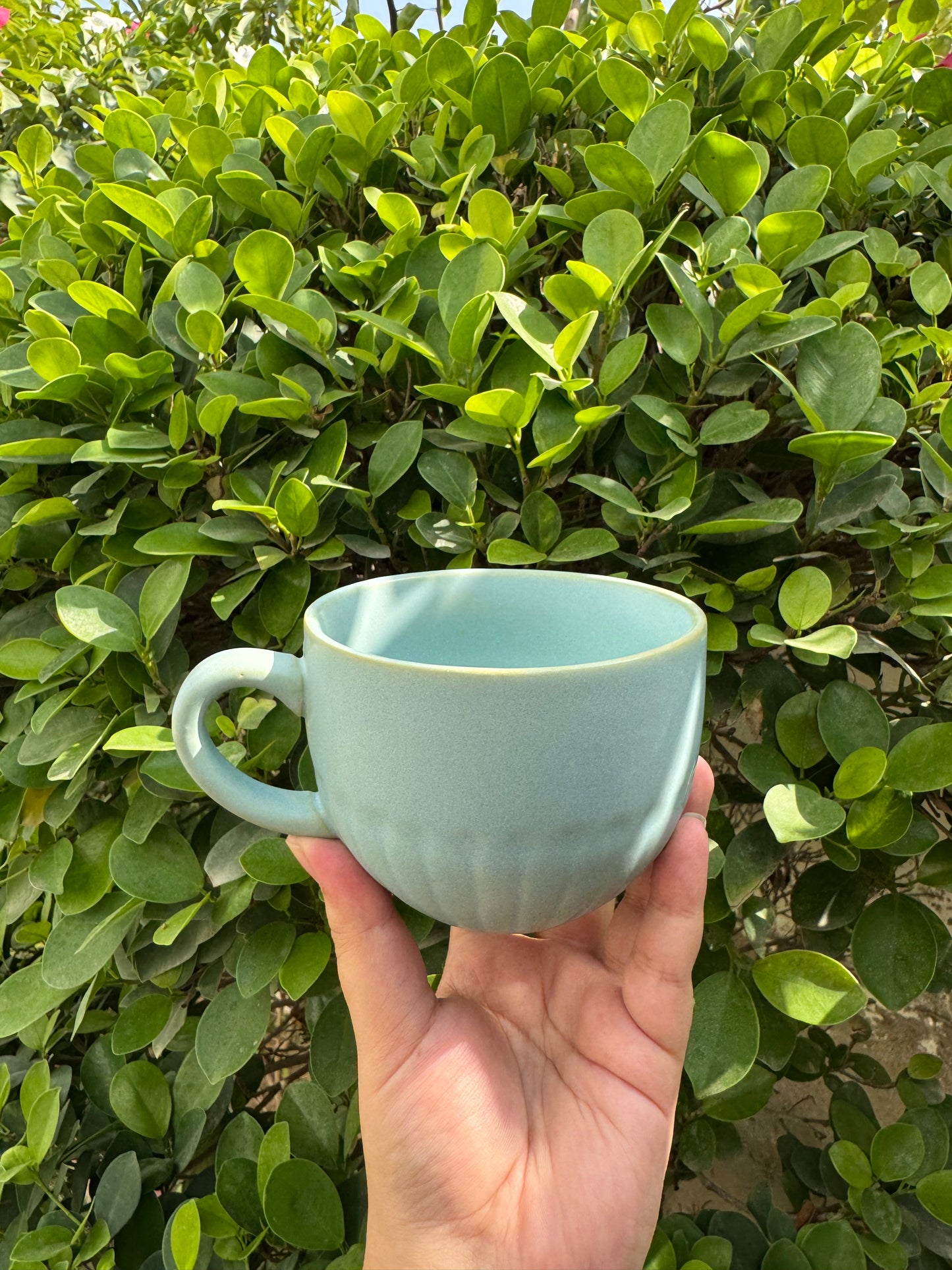 Aqua Large Cup