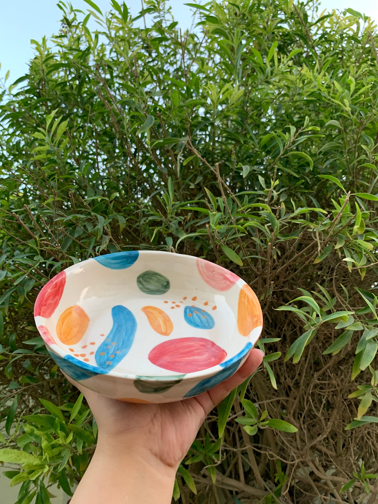 Colour Burst Plate Bowl