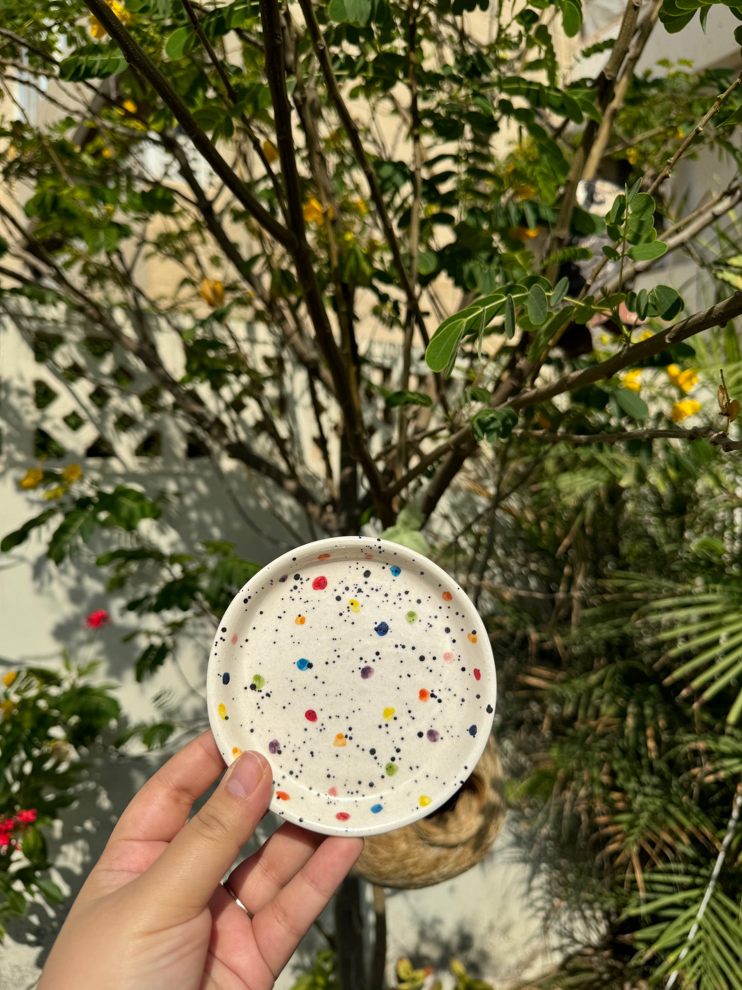 Beautiful Chaos Coaster