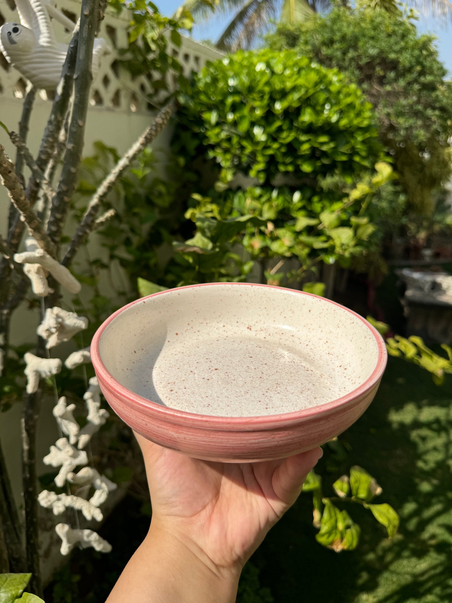 Plate Bowls