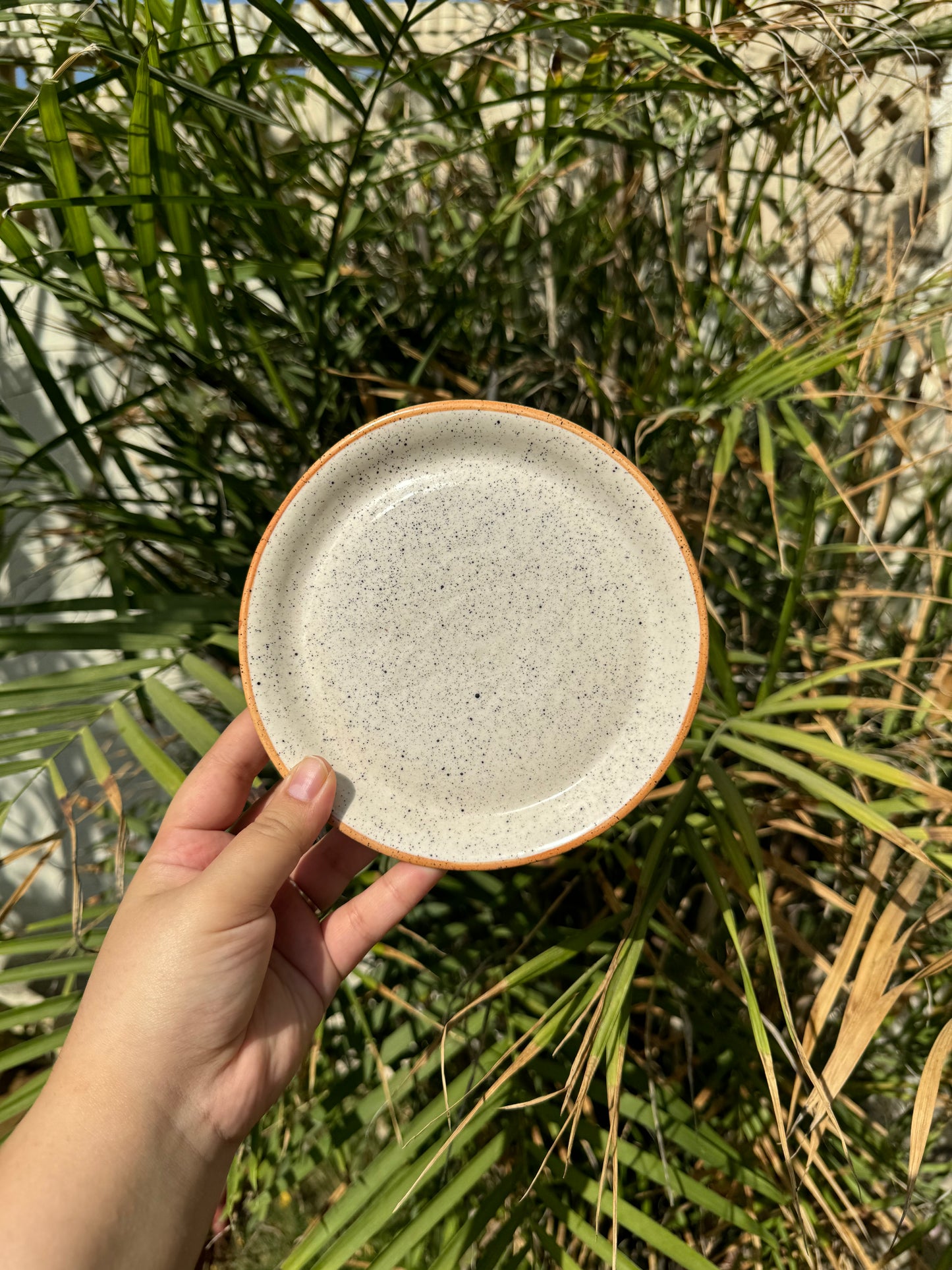 Neutral Border Plates