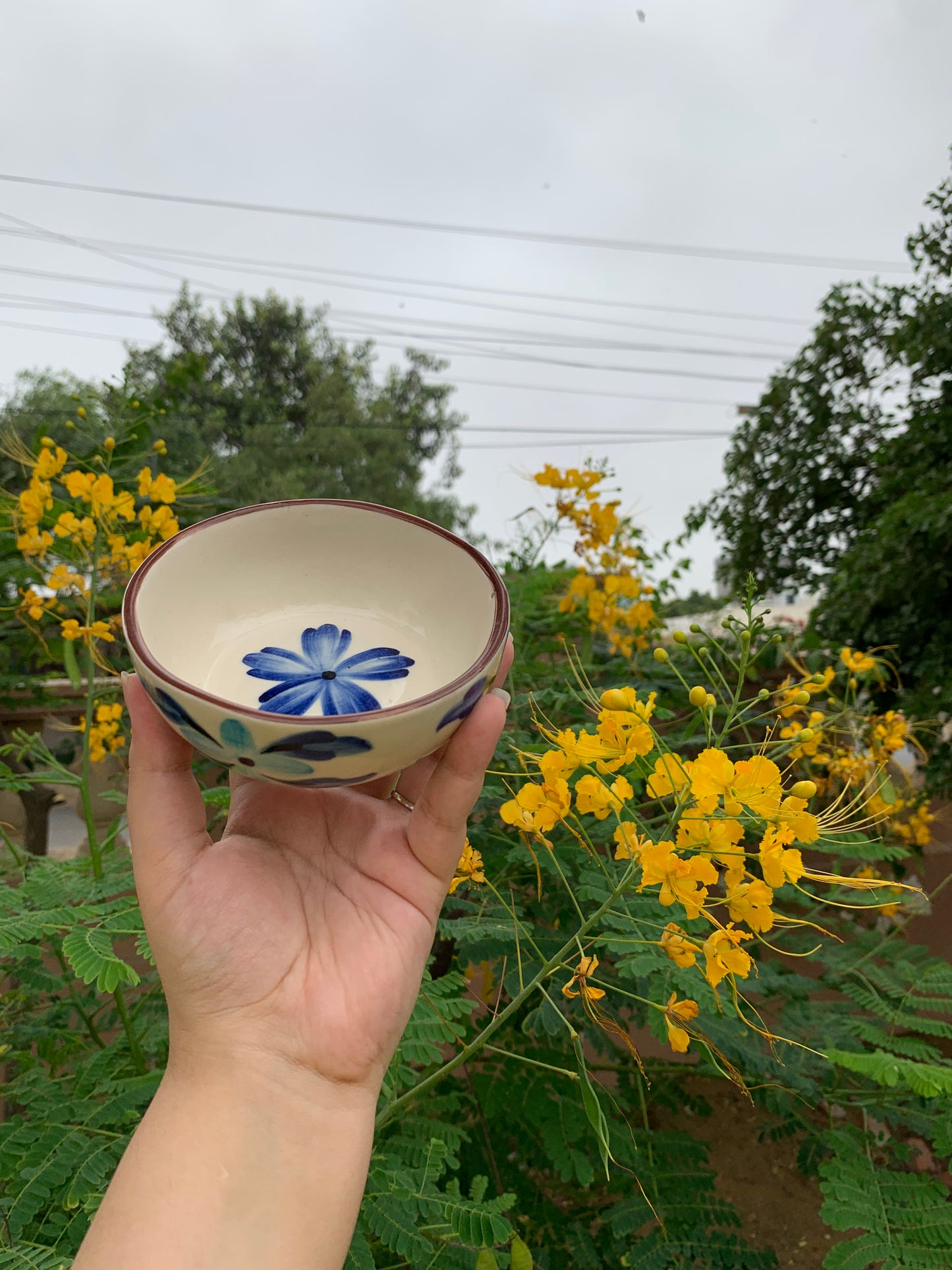 Blue-bell Bowl