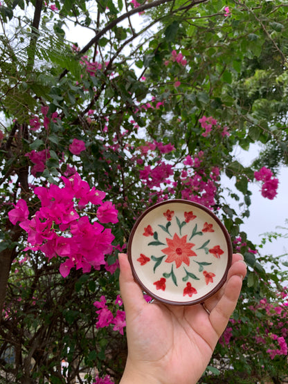 Red Zinnia