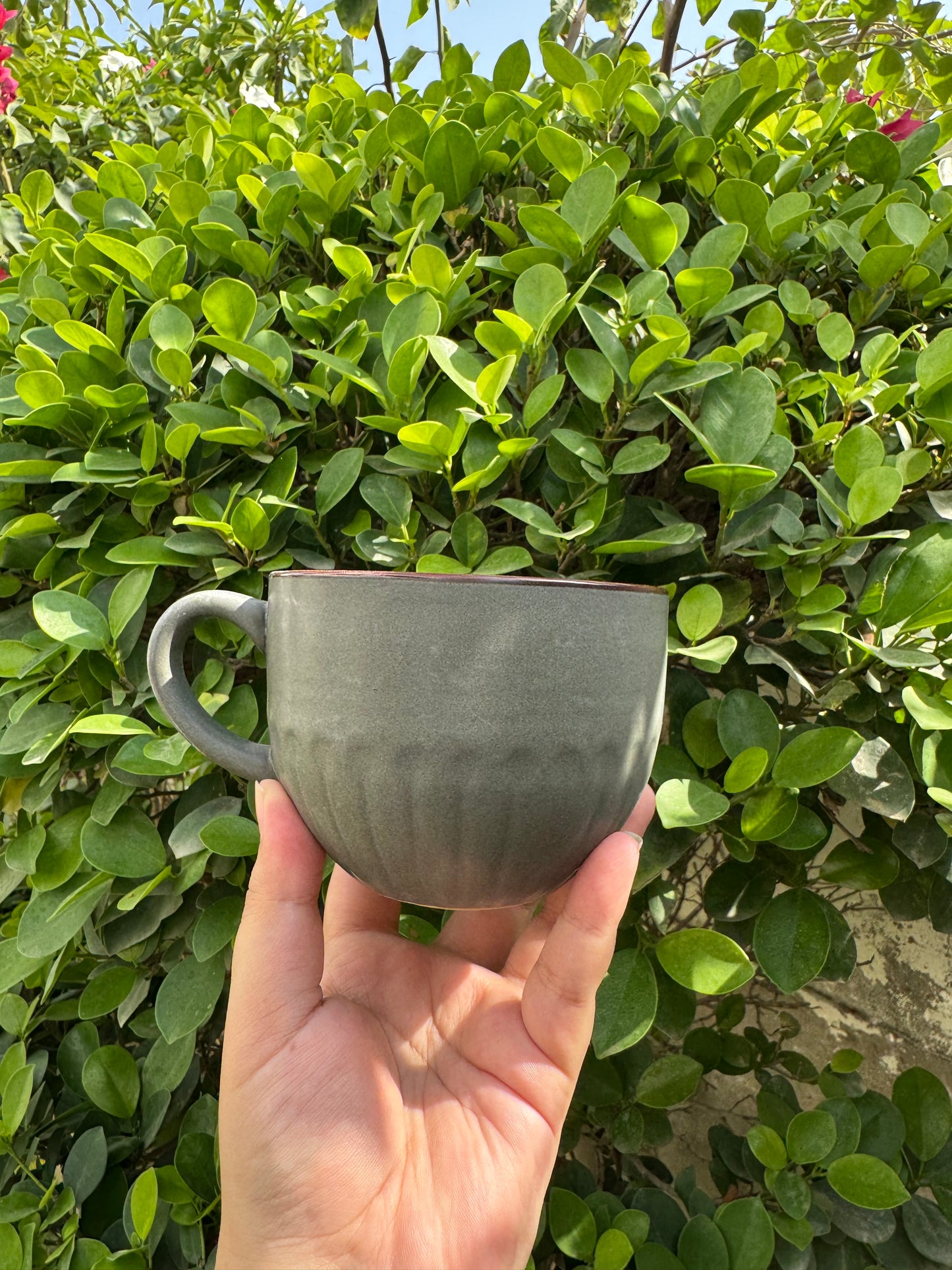 Charcoal Gray with Brown Rim Large Cup