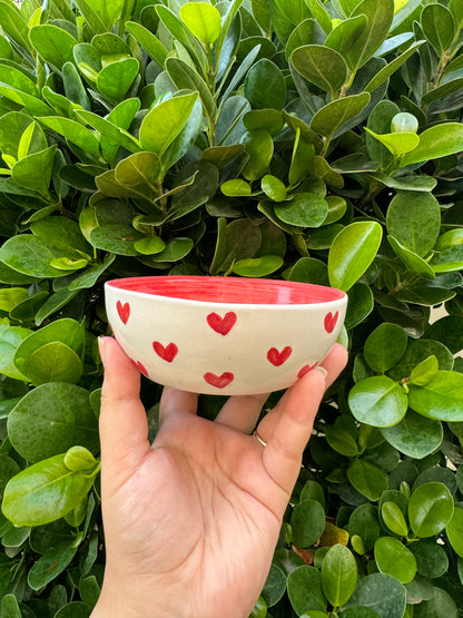 Coloured Heart Bowls