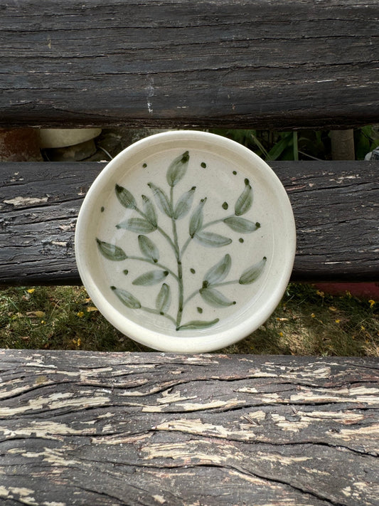 Fern Coaster - Coasters