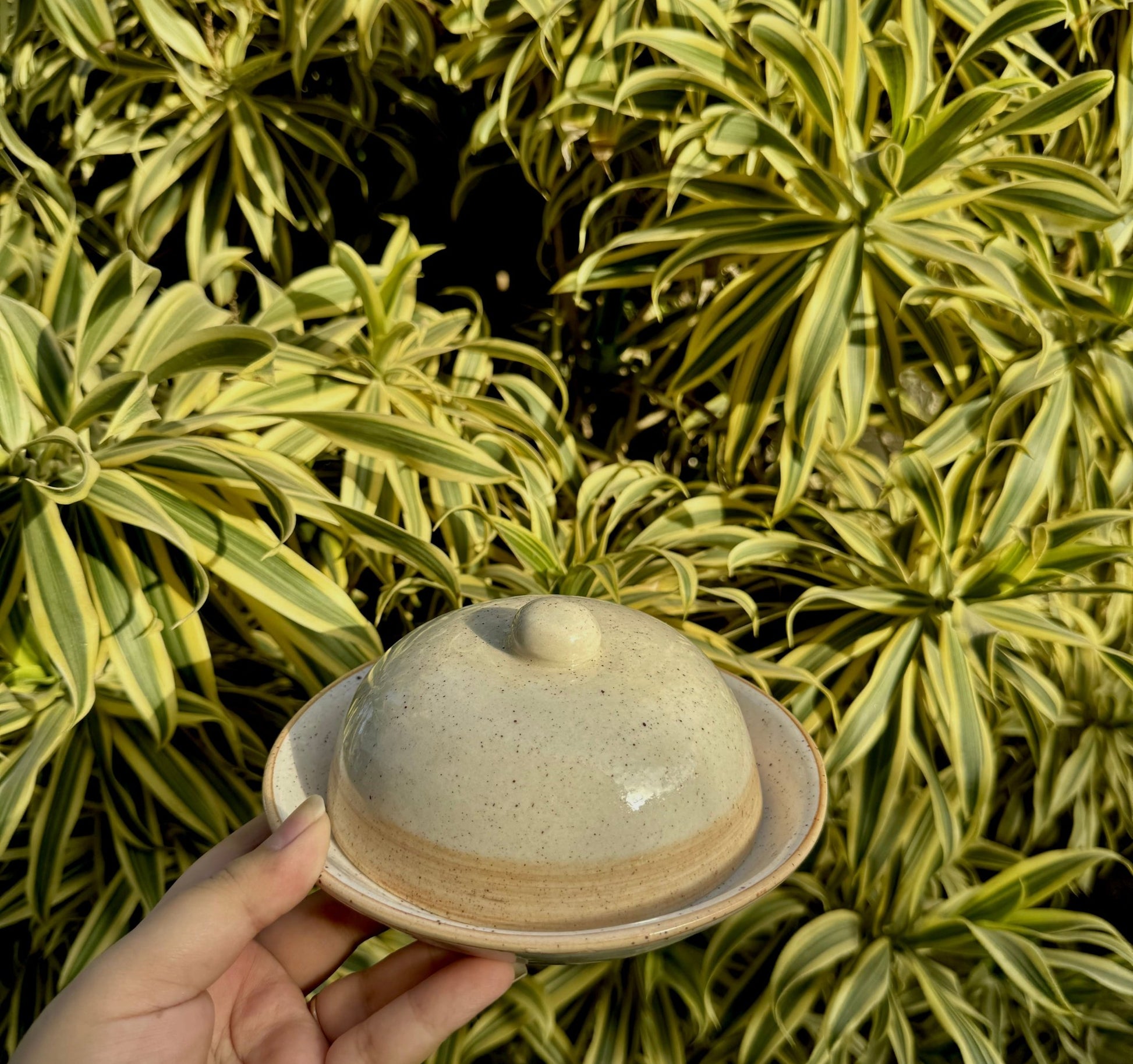 Neutral Butter Dish - Butter Dish